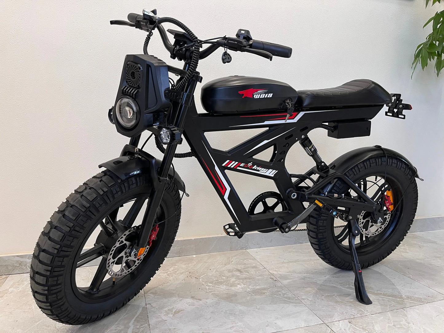 RoadHawk Series Electric Bike