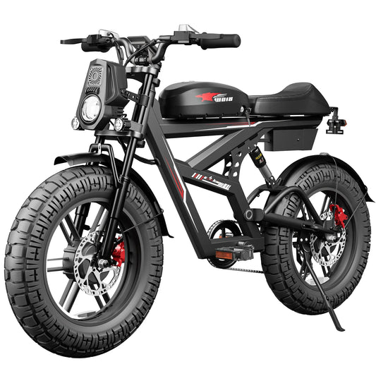 RoadHawk Series Electric Bike